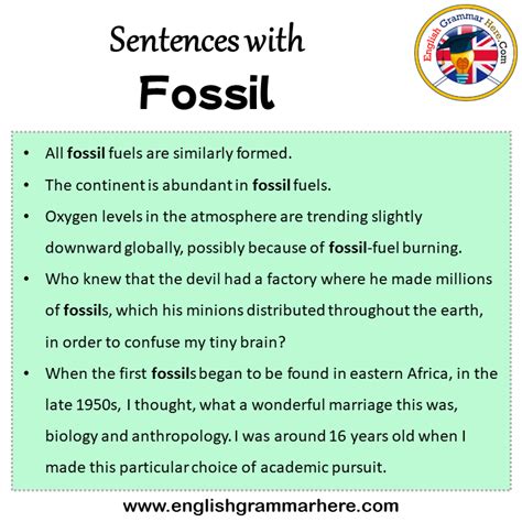 examples of fossils sentences.